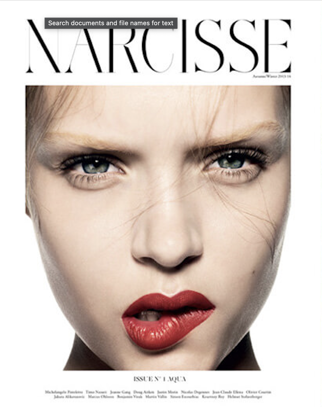 Narcisse Magazine